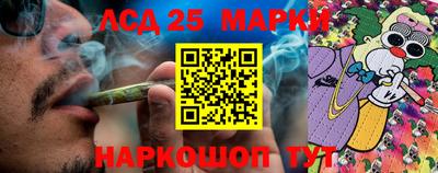 крисы Кандалакша